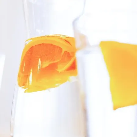 Appartamento CITYSTAY Villa Haffnera *